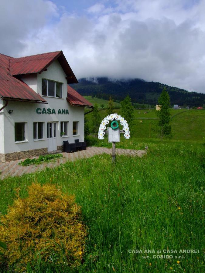 Casa Ana Vatra Dornei Villa Dealu Floreni Exterior photo